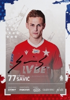 savic2.jpg