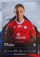 savic3.jpg