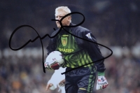 schmeichel3.JPG