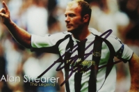 shearer2.JPG