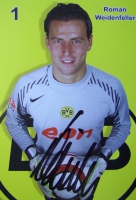 weidenfeller.JPG