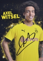 witsel.JPG